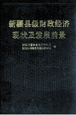 新疆县级财政经济现状及发展前景