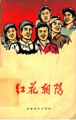 红花朝阳 新疆各族先进人物通讯报告集