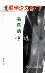 北疆潮汐文丛 下 苍茫的呼唤
