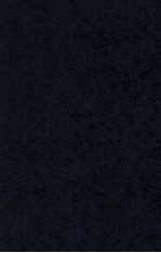 双语词典论专集