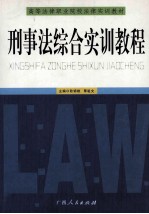 刑事法综合实训教程