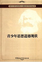 青少年思想道德现状及健全措施研究