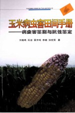 玉米病虫害田间手册 病虫害鉴别与抗性鉴定