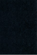 2004年资产评估基本准则、具体准则、评估指南与评估指导意见的最新诠释及案例分析 4