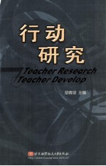 行动研究