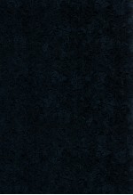 2004年资产评估基本准则、具体准则、评估指南与评估指导意见的最新诠释及案例分析 3