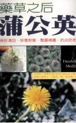 药草之后蒲公英