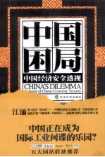 中国困局 中国经济安全透视