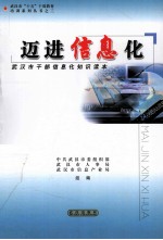 迈进信息化 武汉市干部信息化知识读本