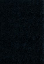最新会计从业资格管理办法与会计职业标准 1