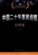 中国二十年重案追踪 打黑案