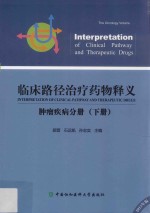 临床路径治疗药物释义 肿瘤疾病分册 下 2015年版