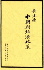 中国新经济政策 第2版
