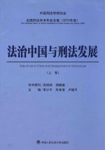 法治中国与刑法发展 上