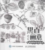 黑白画意 经典植物手绘教程