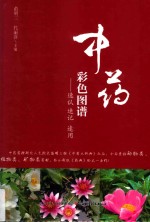 中药彩色图谱 速认 速记 速用