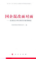 国企混改面对面 发展混合所有制经济政策解读