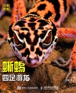 四足游龙 蜥蜴