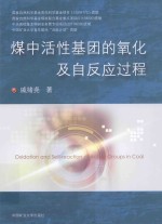 煤中活性基团的氧化及自反应过程
