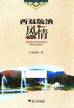 西双版纳风情