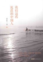 我们这些流浪的中国人