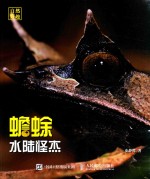 水路怪杰 蟾蜍