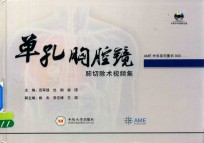 单孔胸腔镜肺切除术视频集