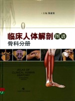 临床人体解剖图谱 骨科分册