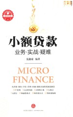 资本市场法商丛书 小额贷款 业务·实战·疑难