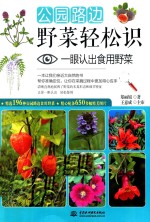 公园路边野菜轻松识 一眼认出食用野菜