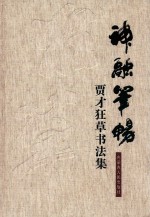 神融笔畅 贾才狂草书法集