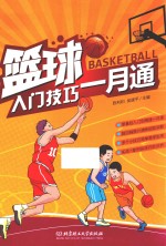 篮球入门技巧一月通