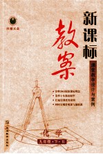新课标 教案 化学 九年级 下 R