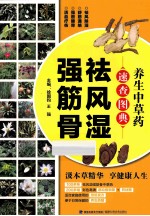 养生中草药速查图典 祛风湿强筋骨
