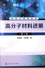 高分子材料进展 第2版
