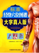 标准经络穴位图谱 大字真人版
