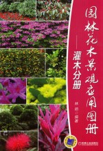 园林花木景观应用图册 灌木分册
