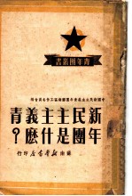 新民主主义青年团是什么？