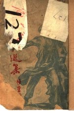 萍踪寄话选集