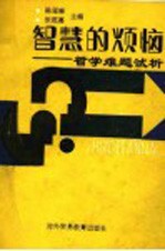 智慧的烦恼 哲学难题试析