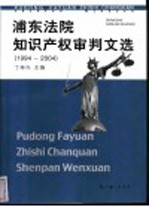 浦东法院知识产权审判文选 1994-2004