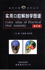 实用口腔解剖学图谱 第2版