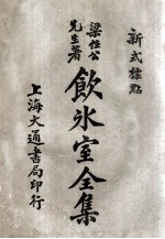 饮冰室全集 新式标点 9 卷17-18