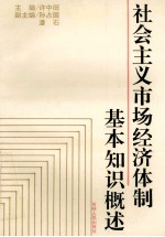 社会主义市场经济体制基本知识概述