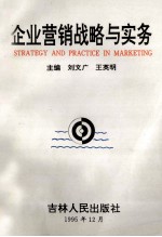企业营销战略与实务