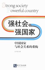 强社会与强国家 中国国家与社会关系的重构