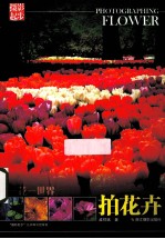 一花一世界 拍花卉