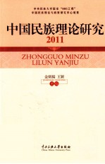 2011中国民族理论研究