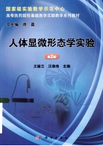 人体显微形态学实验 第2版