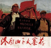 终南山下大寨花